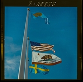 585/6 Facit Åtvidaberg Amerika San Francisco