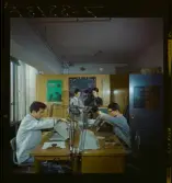 585/8 Facit Tokyo Daberg. Arbetare sätter ihop skrivmaskiner på ett arbetsrum.