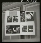 1671 Sverigeutställningen för Turisttrafikförbundet Pressvisning på Gillet i Stockholm