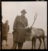 1678 Ren och lapp på Bromma Flygplats