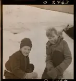 1678 Ren och lapp på Bromma Flygplats