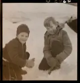 1678 Ren och lapp på Bromma Flygplats