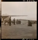 1678 Ren och lapp på Bromma Flygplats