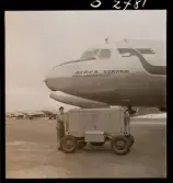 1678 Ren och lapp på Bromma Flygplats