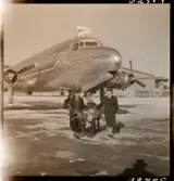 1678 Ren och lapp på Bromma Flygplats