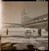 1678 Ren och lapp på Bromma Flygplats