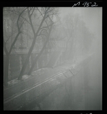 1682 A Paris Div Motiv