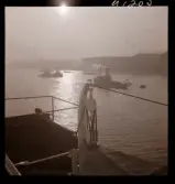 1686 Ombord på M/S Swecia för Svenska Lloyd