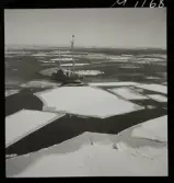 1686 Ombord på M/S Swecia för Svenska Lloyd