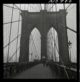1690 New York allmänt (N.Y. Herald Tribune). Brooklyn bridge.