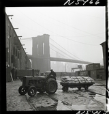 1690 New York allmänt (N.Y. Herald Tribune). En man transporterar säckar med liten traktor och släp. Brooklyn bridge i bakgrunden.