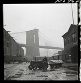 1690 New York allmänt (N.Y. Herald Tribune). En man transporterar säckar med liten traktor och släp. Brooklyn bridge i bakgrunden.