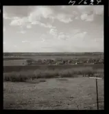 1692 Kooperativ olja, Kansas City