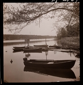 1701 Studion på gökotta på Kärsön