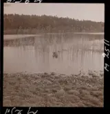 1701 Studion på gökotta på Kärsön