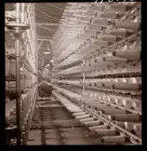 1708/B Mölnlycke Väverier Göteborg