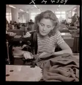 1716 Firma Merkur Borås för Esselte