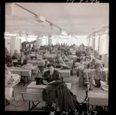 1716 Firma Merkur Borås för Esselte