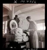 1716 Firma Merkur Borås för Esselte