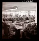 1716 Firma Merkur Borås för Esselte