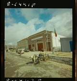 1708/8 Mölnlycke Portugal