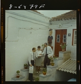 1708/8 Mölnlycke Portugal