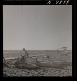 1717 D Div, Italien