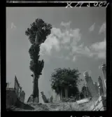 1717/K Istanbul allmänt. Muslims begravningsplats.