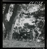 1717/K Istanbul allmänt. Ett barn gungar i en gunga upphängd i ett träd. En man står bakom och puttar på.