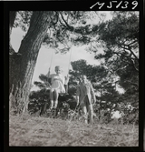 1717/K Istanbul allmänt.  Ett barn gungar i en gunga upphängd i ett träd. En man står bakom och puttar på.