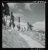 1717/K Istanbul allmänt. Gångväg till begravningsplats.