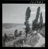 1717/K Istanbul allmänt. Utsikt från begravningsplats.