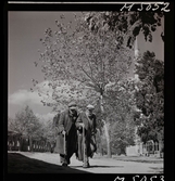1717/L Istanbul allmänt. Två äldre män med käpp promenerar tillsammans.