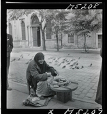1717/L Istanbul allmänt. Gatuförsäljare. En kvinna sitter på trottoaren och säljer frön/ nötter.