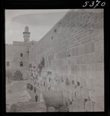 1717 N Palestina allmänt