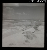 1717 N Palestina allmänt