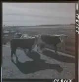 1718 Kropps fabrik och farm