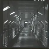 1718 Kropps fabrik och farm