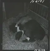 1718 Kropps fabrik och farm