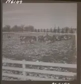 1718 Kropps fabrik och farm