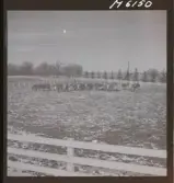 1718 Kropps fabrik och farm