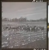 1718 Kropps fabrik och farm