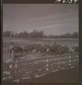 1718 Kropps fabrik och farm