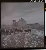 1718 Kropps fabrik och farm