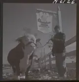 1718 Kropps fabrik och farm