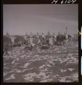 1718 Kropps fabrik och farm