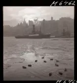 1723 C Stämningsbilder, Stockholm vinter