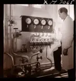 1731 Kärnbolagen Penicillin