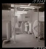 1731 Kärnbolagen Penicillin