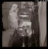 1731 Kärnbolagen Penicillin